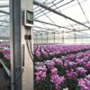 Testo 176H1 Humidity & Temperature Data Logger - Image 2