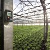 Testo 174H Mini Humidity & Temperature Data Logger - Image 2