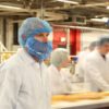 Detectable Beard Snoods Pack size 100/1000 - Image 3