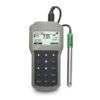Hanna HI-98190 Waterproof Portable pH/ORP Meter