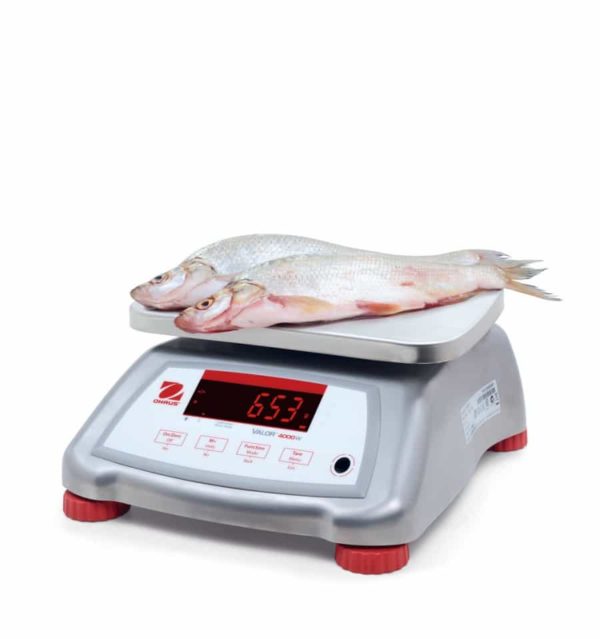 Ohaus Valor® 2000 Stainless Steel  - V22XWE3T - Image 2