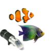 Eclipse handheld refractometer - Salinity 45-65 - Image 3