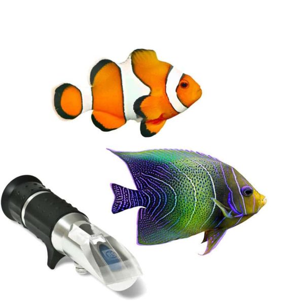 Eclipse handheld refractometer - Salinity 45-65 - Image 3