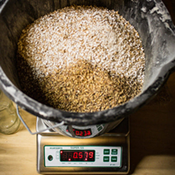 Marsden B-100 Waterproof Bench Scale - Image 3
