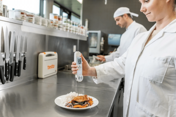 testo 104-IR BT - Infrared/penetration thermometer with app connection - Image 4