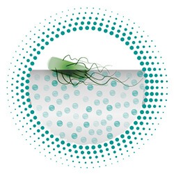 Biocote Antimicrobial Protection